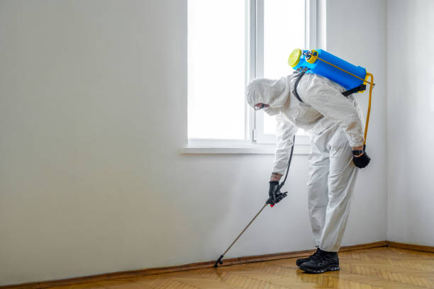 Best Affordable Pest Control Services  in Elsa, TX
