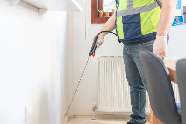 Best Exterminator Services  in Elsa, TX